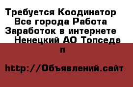 Требуется Коодинатор - Все города Работа » Заработок в интернете   . Ненецкий АО,Топседа п.